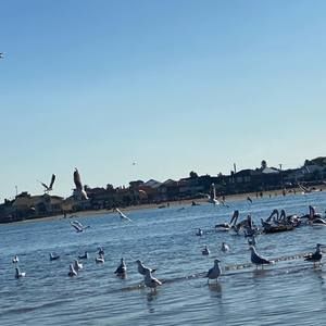 Meet your Posher, Joan